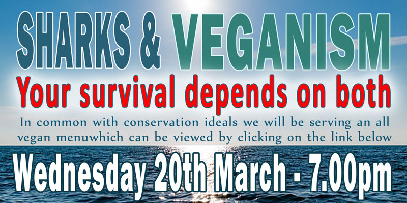 SHARKS AND VEGANISM EVENT